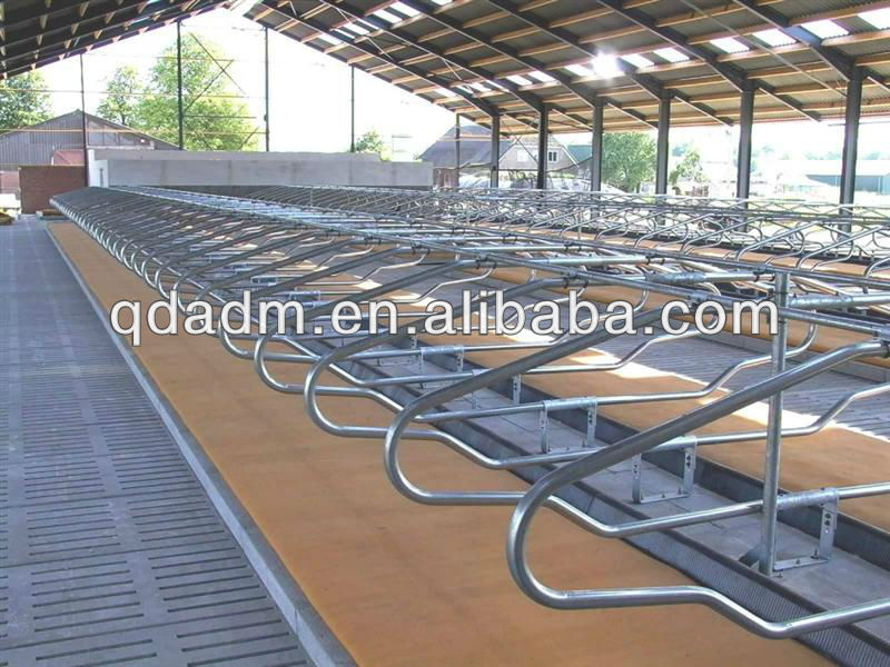 cattle free stall system