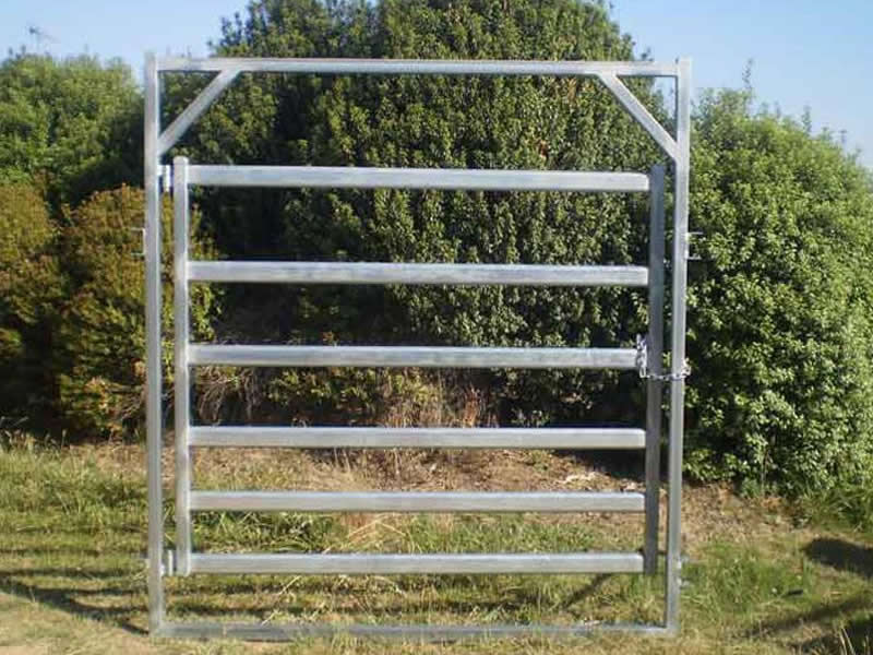 cattle swing gate